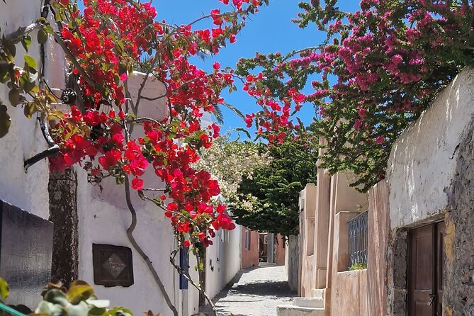 3 hours Panoramic Tour to Oia - Pickup, cruise timing, and the practical details