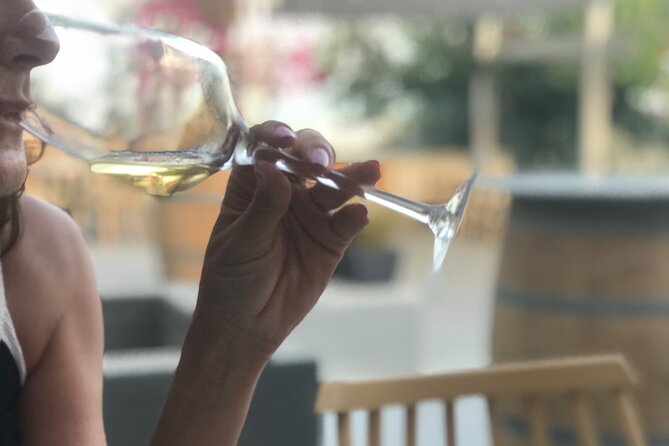 3 Wineries wine tasting & Greek Meal -Food and Wine pairing - Is $264.90 a Fair Price?