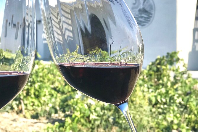 3 Wineries wine tasting & Greek Meal -Food and Wine pairing - Who Will Enjoy This Most?
