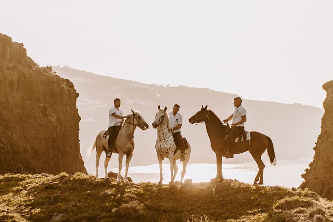 Beach Gallop - Horse Riding Safari for Experienced Riders - From Megalochori vineyards to Eros Beach