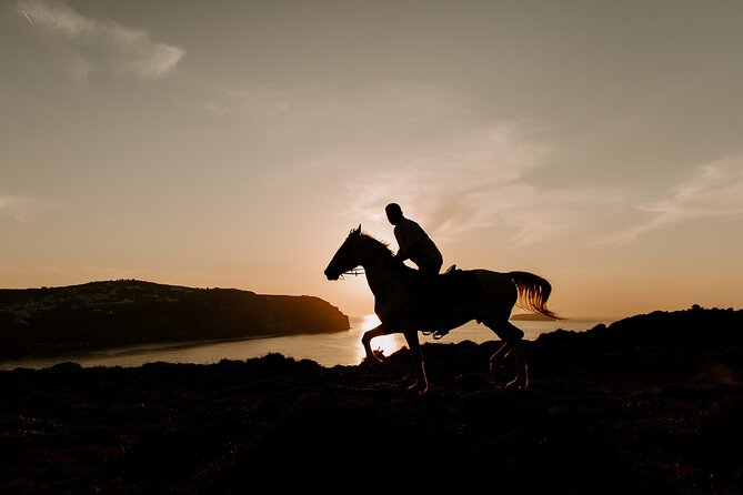 Beach Gallop - Horse Riding Safari for Experienced Riders - Who should book this ride