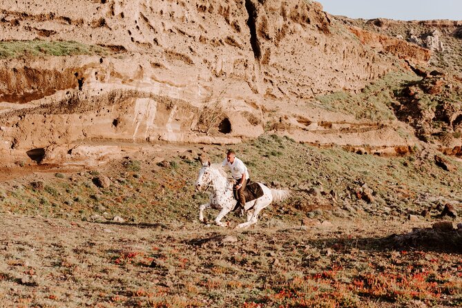 Beach Gallop - Horse Riding Safari for Experienced Riders - Practical details before you reserve
