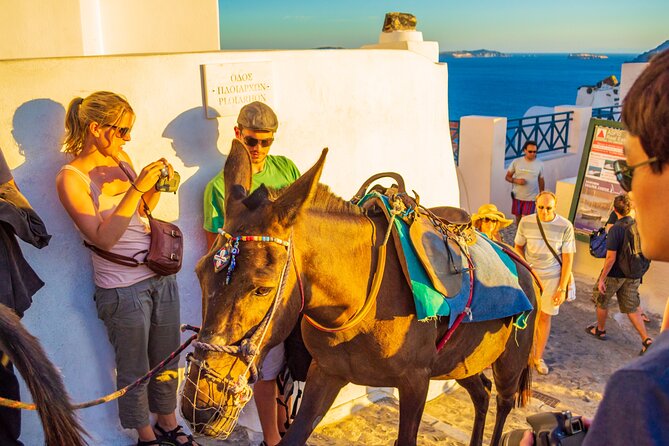 Best of Santorini Full Day Private Trip From Mykonos - Oia in one hour: famous, beautiful, and fast