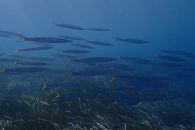 Discover Scuba Diving in Santorini - The video lesson and equipment fitting