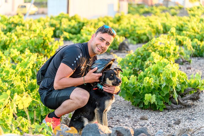 E-Bikes Rental in Santorini - Weather, timing, and cancellation details