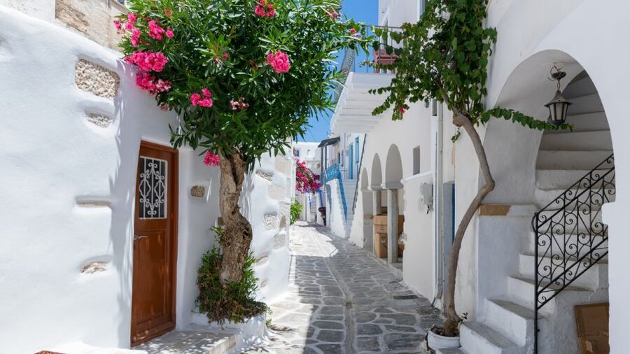 From Heraklion/Crete: Santorini Island Guided Day Trip - What the guide adds