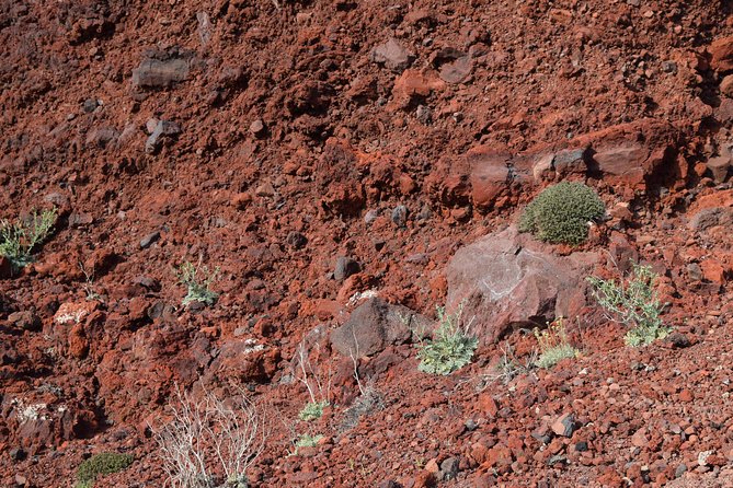 Hiking activity through the volcanic land of wonder - Entering Oia through its traditional lanes