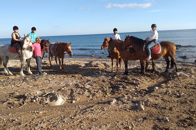 Horse Riding: Explore Secret Thera - What the one-hour duration really means