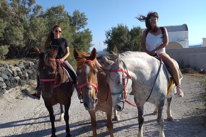 Horse Riding: Explore Secret Thera - Horses, comfort, and riding ability