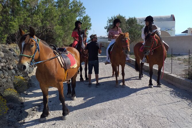 Horse Riding: Explore Secret Thera - Group size and the feel of the outing