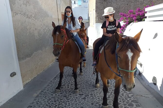 Horse Riding: Explore Secret Thera - Getting there and handling the meeting point