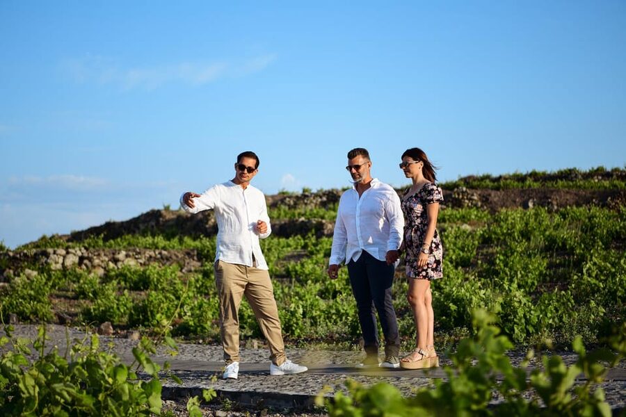 Imerovigli: Premium Wine Tasting with Caldera and Sea Views - Staying for dinner and visiting the private cellar