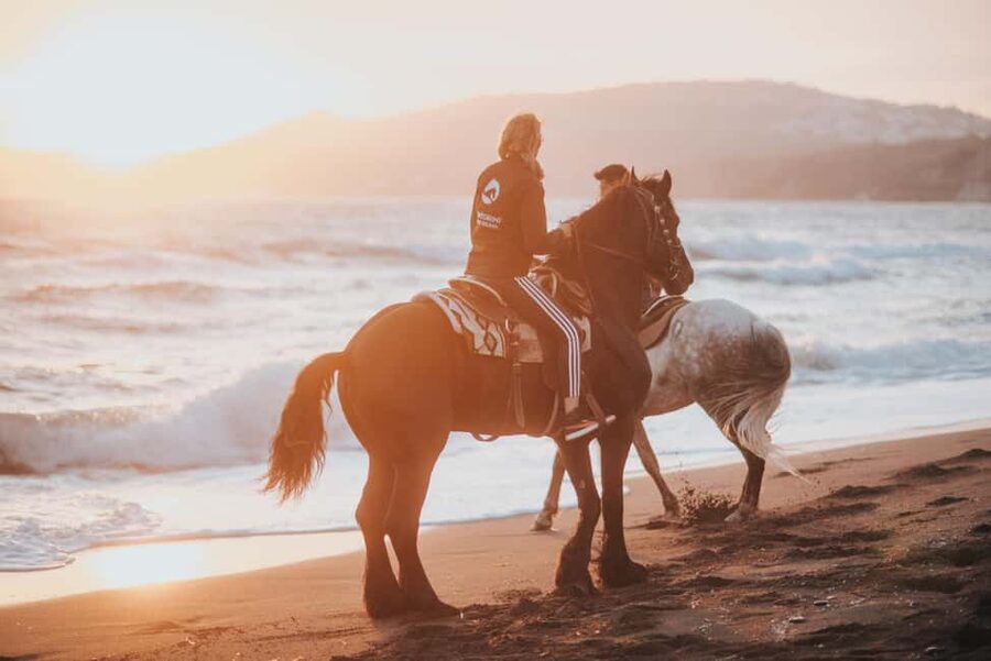 Megalochori: Horseback Riding Tour for Experienced Riders - Starting in Megalochori and crossing the vineyards