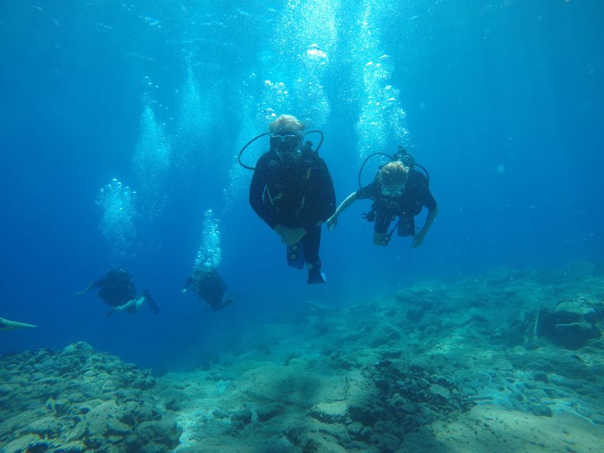 Oia: 2 Guided Scuba Dives off Santorini for Certified Divers - Key points before you book