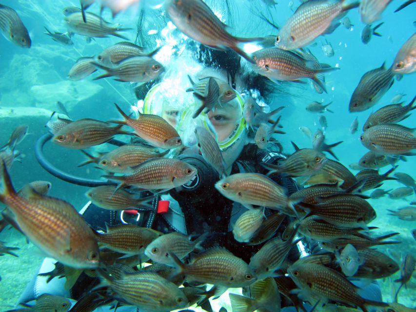 Oia: 2 Guided Scuba Dives off Santorini for Certified Divers - What the volcanic setting adds