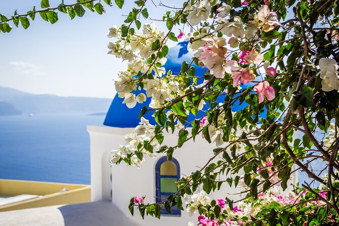 Private Captivating Santorini Highlights Tour inc. tastings - What the food program adds