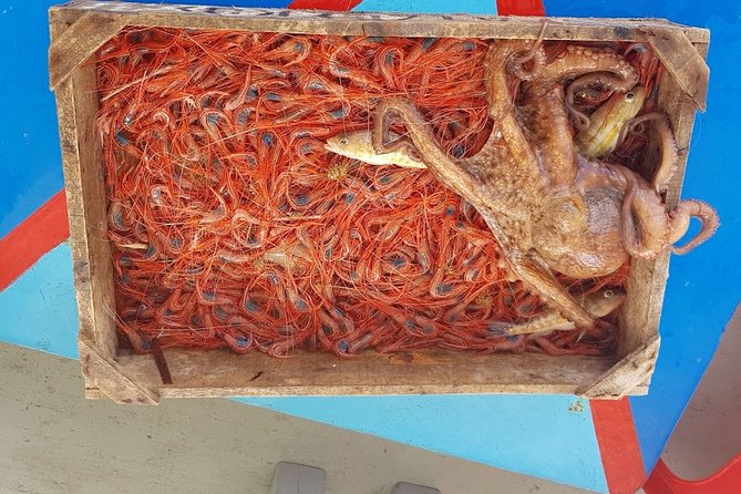 Private Fishing Tour - Sunset (transportation included) - Dinner made from the day’s catch
