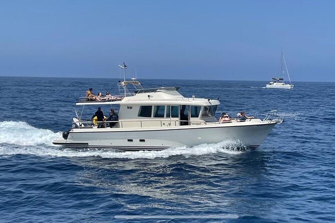 Private Full-Day Motor Yacht Cruise with Meal, Open Bar+Transfers - The Volcano and Palea Kameni Hot Springs