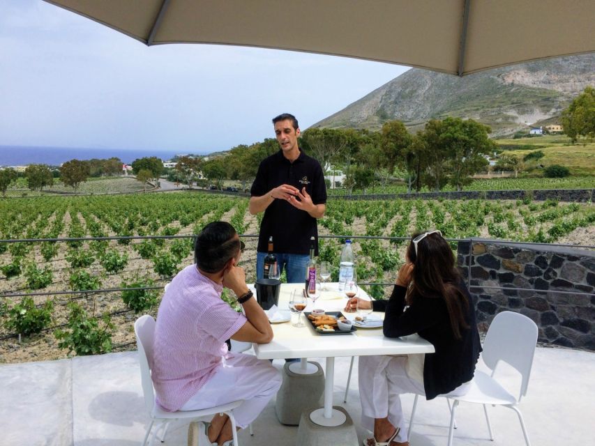 Private Group Visit to Akrotiri & 3 Wineries with Tastings - Timing, comfort, and the pace of the route