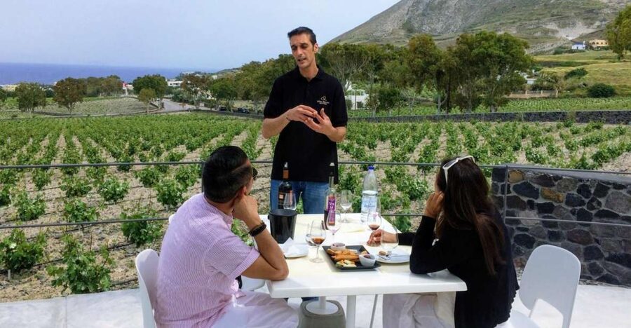 Private Group Visit to Akrotiri & 3 Wineries with Tastings - Who will enjoy this Akrotiri and wine tour?