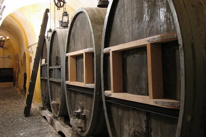 Private Half Day Tour with Wine Tasting in Santorini - Who will get the most from this tour?