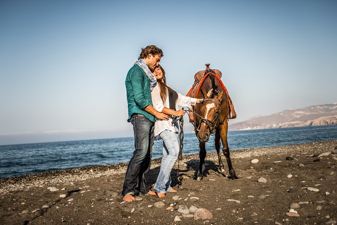 Private Horse Riding Experience in Santorini - How well cared for are the horses?