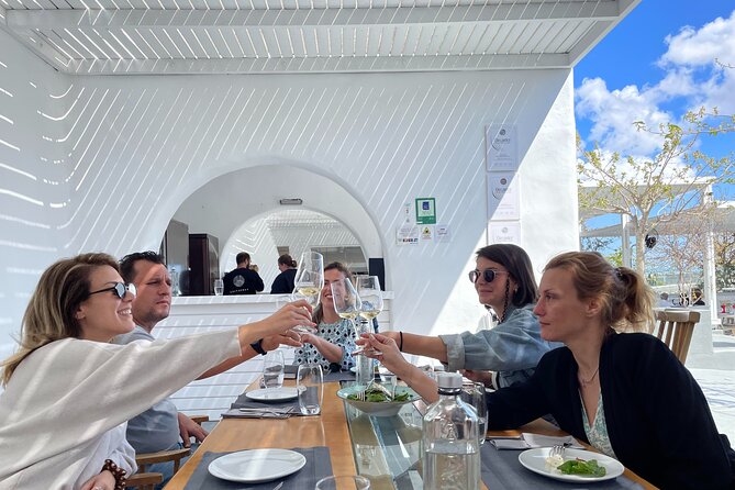Private Santorini Daytime Wine Tour - Gavalas Winery and family wine tradition