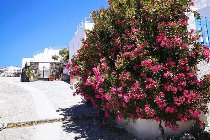 Private Santorini Highlights Tour with Easy and Flat Walks - Oia, 1 hour and 45 minutes of whitewashed streets