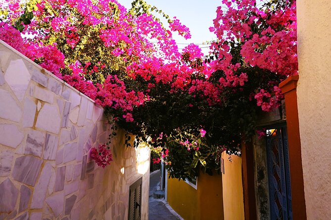 Private Santorini Highlights Tour with Easy and Flat Walks - Who will get the most from this tour