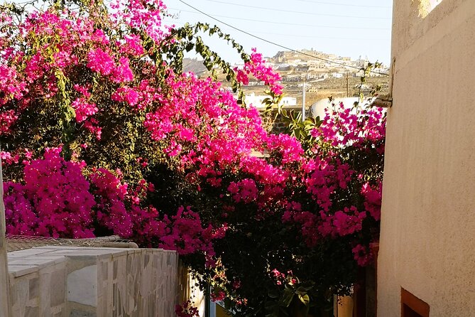 Private Santorini Highlights Tour with Easy and Flat Walks - Firostefani and the blue-dome view