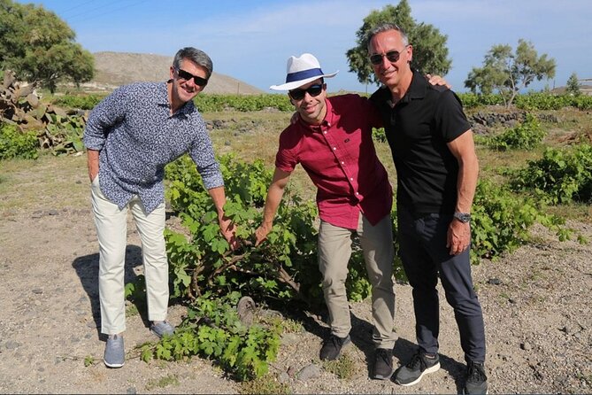Private Santorini Sunset Wine Tour with Tastings and Tapas - Santo Wines: the view that closes the afternoon