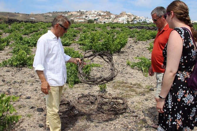Private Santorini Sunset Wine Tour with Tastings and Tapas - Estate Argyros: a polished start to the tasting