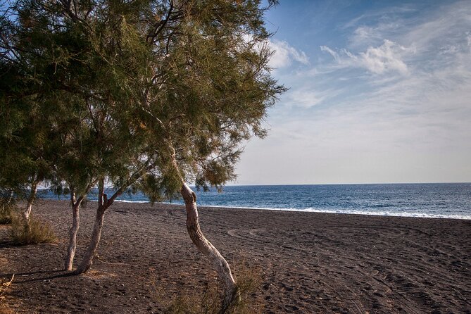 Private Tour: Discover South of Santorini - Wineries, sunset views, and the cost of a longer stop