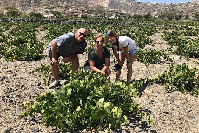 Private Tour: Great Wines and Famous Towns of Santorini - Hatzidakis Winery and four wines