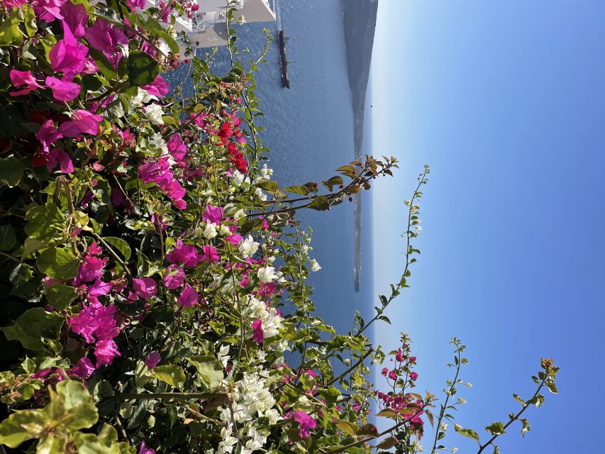Private Tour of the Famous Blue Domes and Caldera - Why this three-hour route works