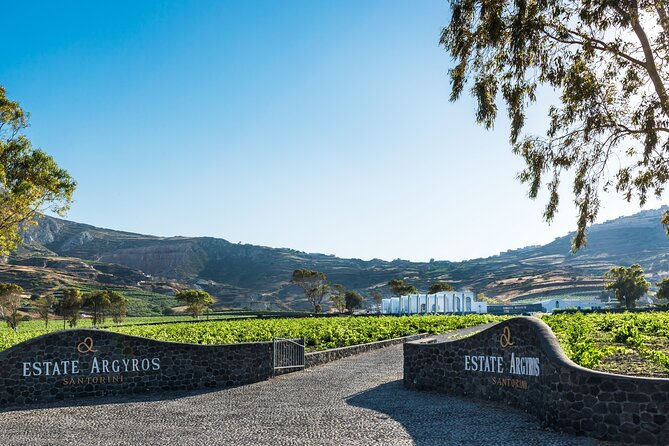 Private Wine Adventure Tour in the Most Distinct Wineries - Why Santorini wine deserves its own afternoon