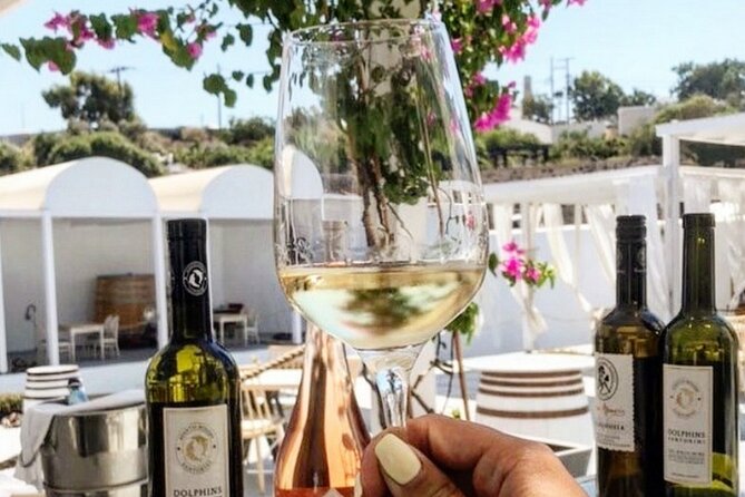 Santorini: 4hr Private Wine Tasting Tour - Who will enjoy this private wine tour most