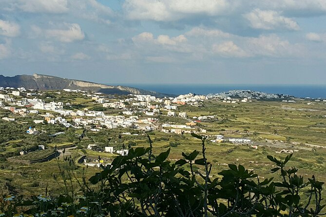 Santorini: 4hr Wheelchair Private Accessible Tour - How the private vehicle changes the day