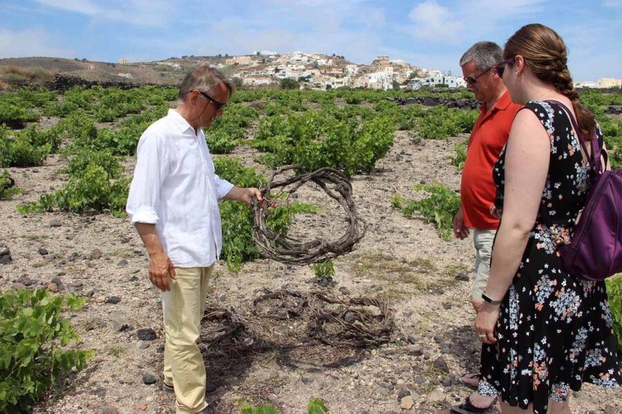Santorini: 5-Hour Private Wine Tour - Santo Wines: a major viewpoint with caldera scenery