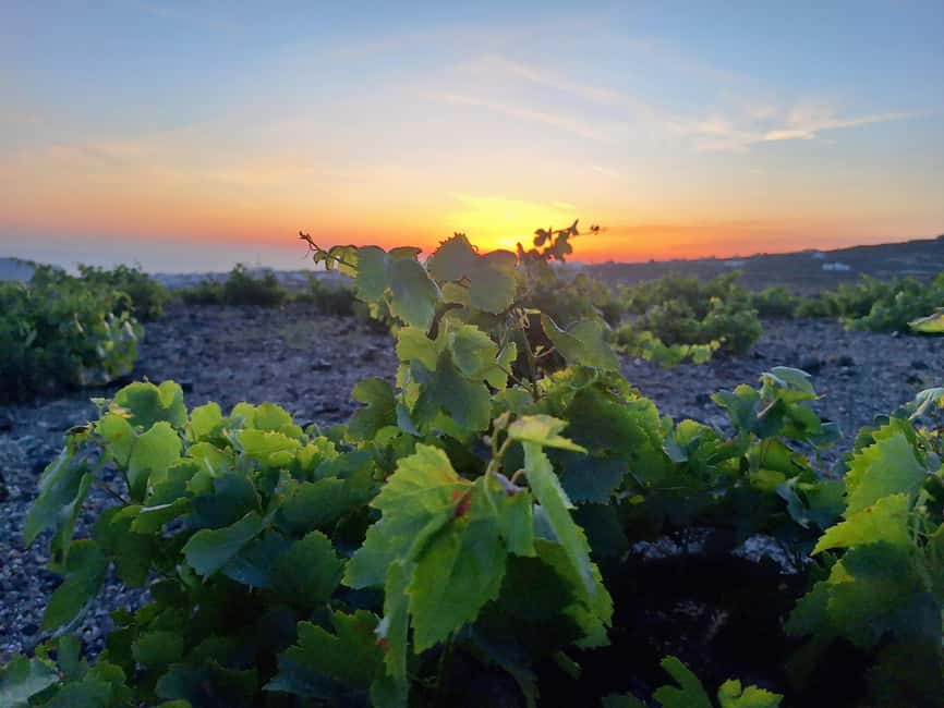 Santorini: 6-Hour Private Sightseeing Tour - Oia: one hour for Santorini’s most famous village