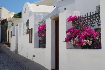 6hr Small Group Shore Excursion Villages & Wine