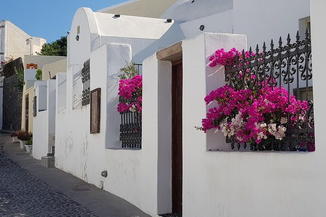 Santorini: 6hr Small Group Shore Excursion Villages & Wine - Two hours around the Castle of St Nicholas