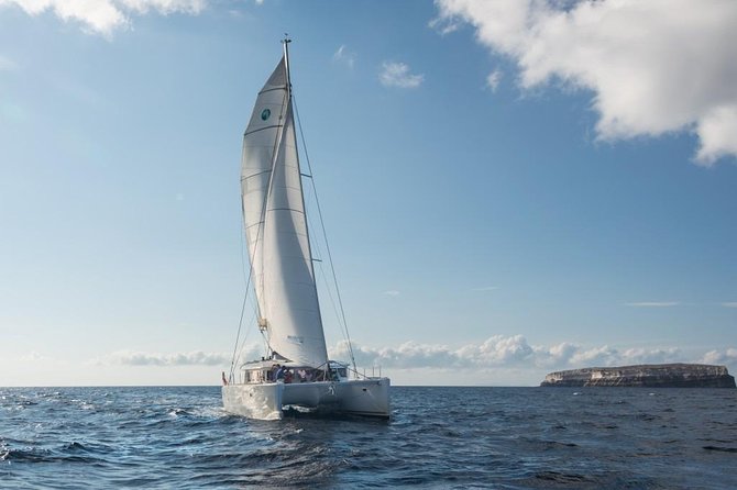 Santorini Caldera Sailing Tour with BBQ Lunch and Drinks - Who will enjoy this cruise most?