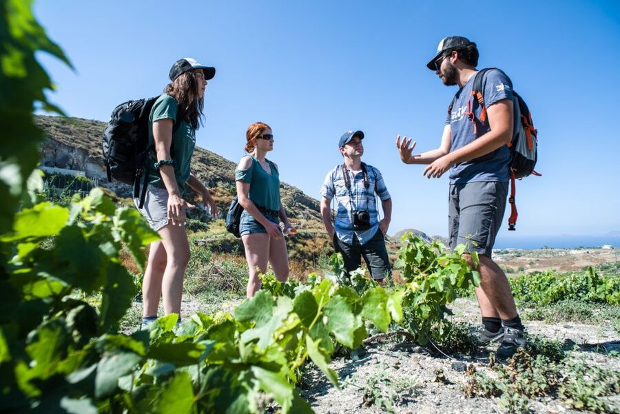 Santorini: Cooking Class and Easy Hike - Cooking with a local chef