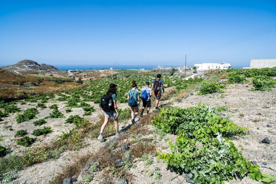 Santorini: Cooking Class and Easy Hike - Lunch is the payoff