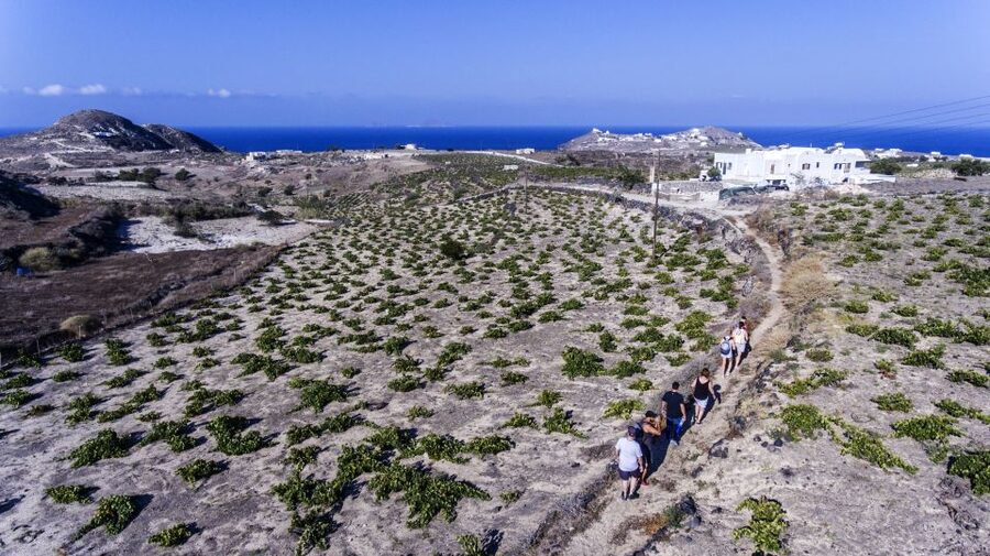 Santorini: Cooking Class and Easy Hike - Who should book this experience