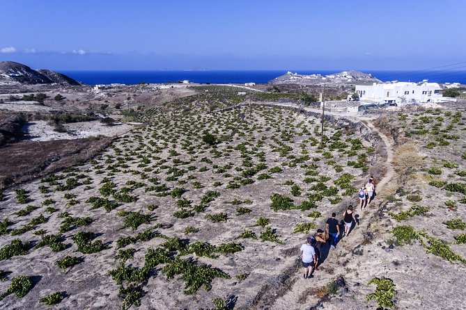 Santorini : Cooking Class & Easy Hike - A homemade Greek lunch with a view