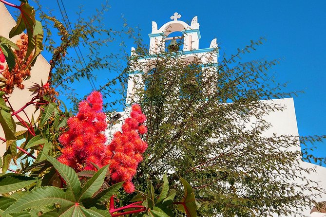 Santorini Day Tour with Sunset in Oia - Wine tasting with a practical expectation