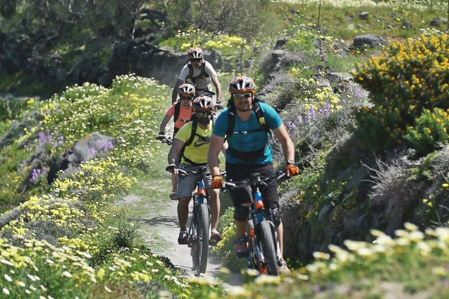 Santorini: Electric Mountain Bike Adventure - Price, group size, and overall value