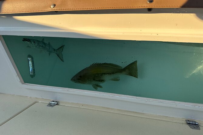 Santorini Fishing Private Cruise boat tour - BBQ, Snorkeling - Who will enjoy this private cruise most